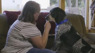 Pit Bulls and Parolees