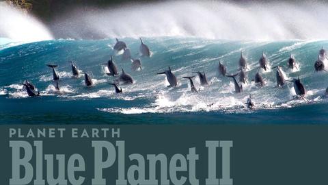 Planet Earth: Blue Planet II