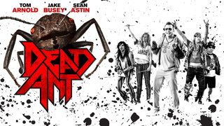 Dead Ant