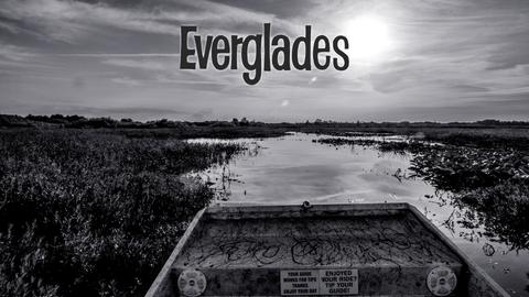 The Everglades