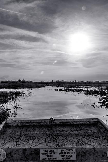 The Everglades