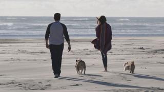 Beachfront Bargain Hunt