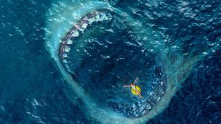 The Meg