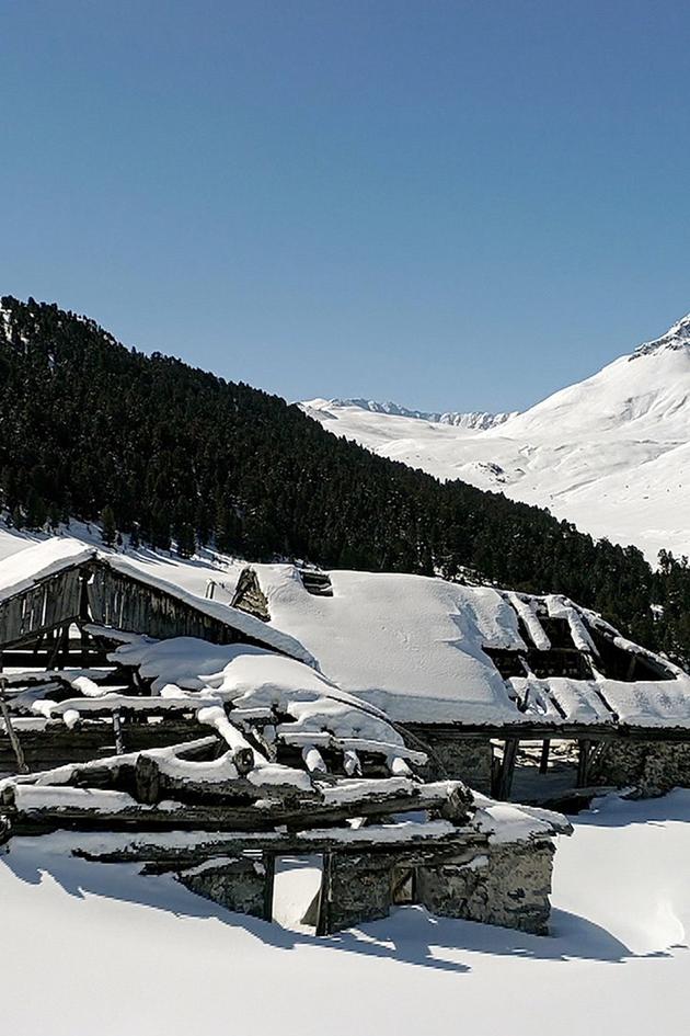 Wild Faces of Switzerland