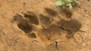 South Korea South Korea