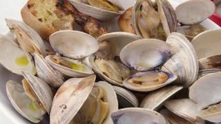 Giada's Holiday Handbook