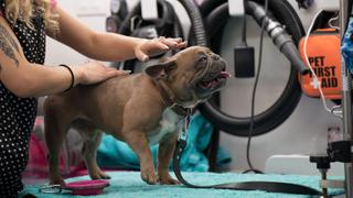 Doggy Style Doggy Style