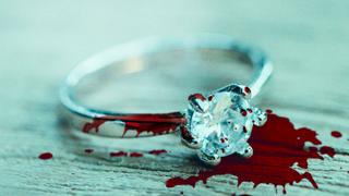 Framed by My Fiancé