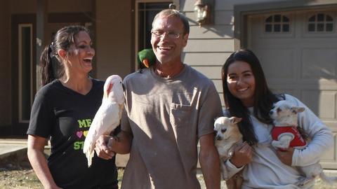 Superfly Parrot Palace