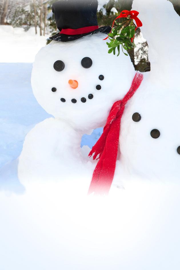 The Christmas Snowman