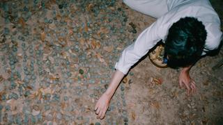 Peyote: The Divine Messenger Peyote: The Divine Messenger