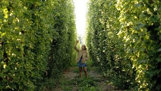 Beerland
