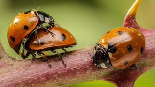 Winter Is Coming Winter Is Coming