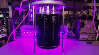 Capturing Carbon Capturing Carbon