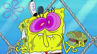 SpongeBob SquarePants