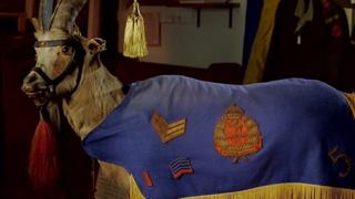 Mysteries at the Museum