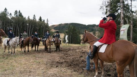 Somewhere in Between