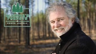  watch America's Forests With Chuck Leavell