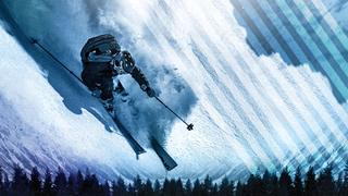 Warren Miller's Line of Descent
