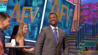 Talking Animals, Dogs Trying to Steal Food, and Squirrely Behavior