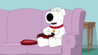 Boy (Dog) Meets Girl (Dog) Boy (Dog) Meets Girl (Dog)