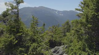 San Juan National Forest