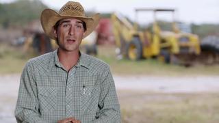 Bulls on the Beach Bulls on the Beach