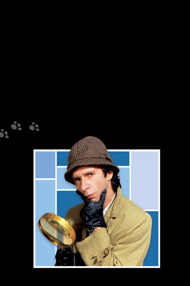 Son of the Pink Panther