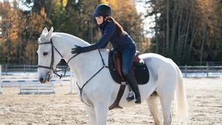 Heartland