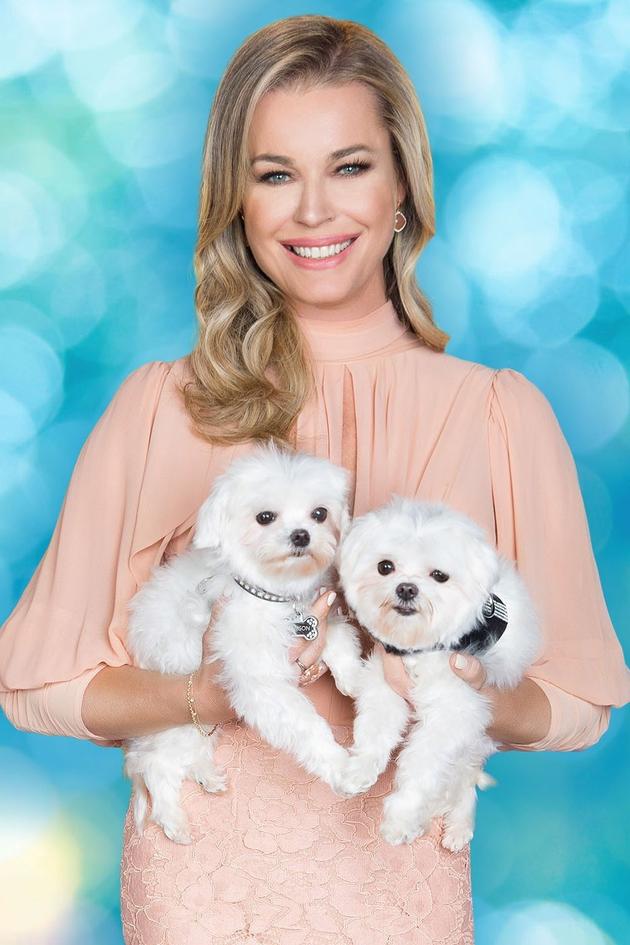 2018 American Rescue Dog Show