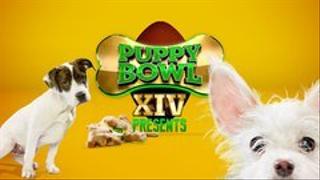 Puppy Bowl XIV Presents