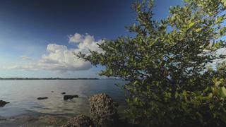 Florida Parks: Hurricane Recovery Florida Parks: Hurricane Recovery