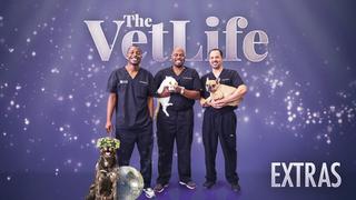 The Vet Life: Extreme Animal Encounters