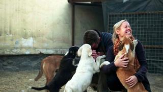 Pen and the Dogs of War Pen and the Dogs of War