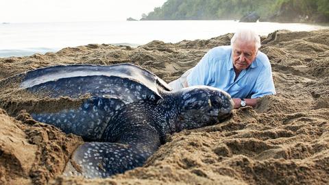 Our Blue Planet