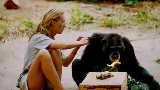 Saving Paradise Islands