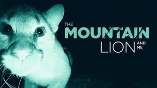 The Mountain Lion and Me