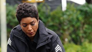 A Whole New You A Whole New You