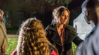 The Chameleon's Dish The Chameleon's Dish