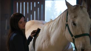 Heartland
