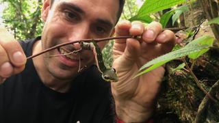 Supernatural Supernatural