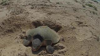 Best of Conservation Best of Conservation