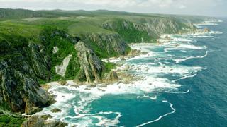 Wild South Coast Wild South Coast