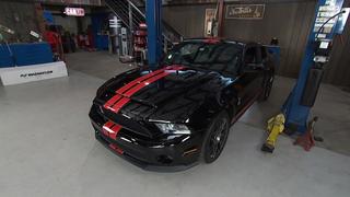 Shelby GT Shelby GT