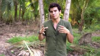 Mud Crab in Dumaguete Mud Crab in Dumaguete