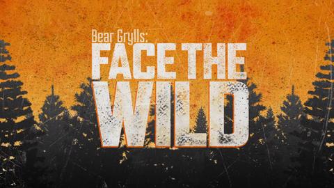 Bear Grylls: Face the Wild