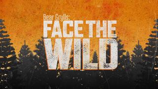 Bear Grylls: Face the Wild