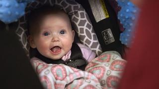 New Baby in Town New Baby in Town