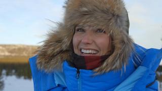 Denali: Dog Sledding