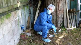 Operation Red Rocks Operation Red Rocks